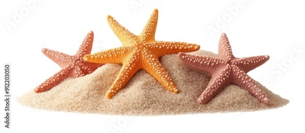 Fototapeta Three Starfish Resting on a Pile of Sand