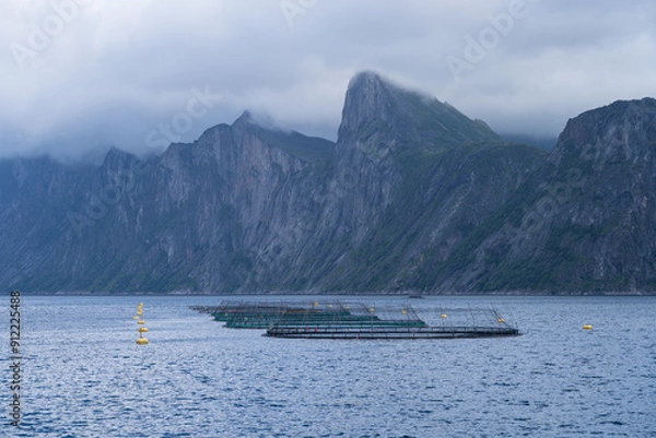 Fototapeta A salmon farm in a fjord in Senja, Norway.