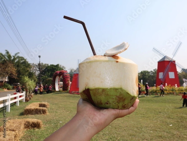 Obraz Coconut drink in hand. selective focus