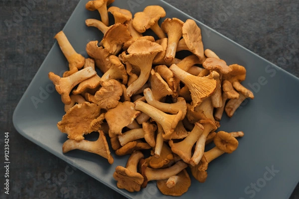 Obraz Organic wild chanterelle mushrooms on plate on black stone background. Top view.