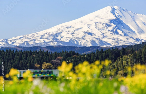 Fototapeta 残雪の鳥海山を背景に走る由利高原鉄道