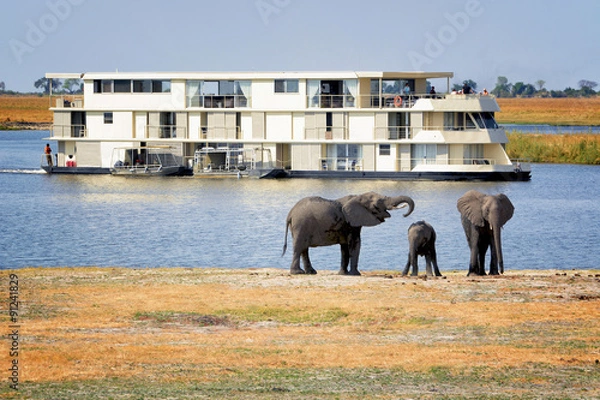 Obraz Tourists watching elephants on Chobe river