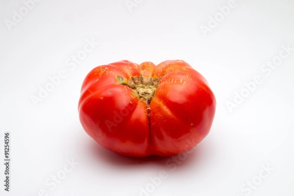 Obraz Brandywine tomato