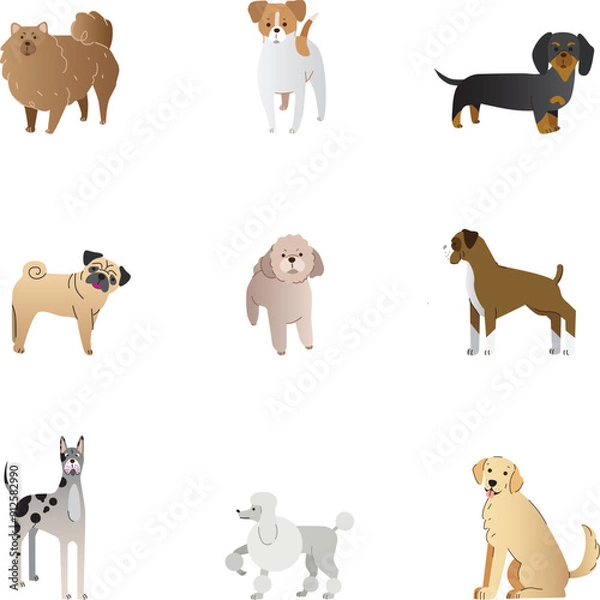 Fototapeta Set of illustrations of different breed of dogs, hand-drawn as vector graphic