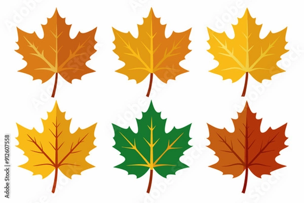 Fototapeta Maple leaf setart vector illustration
