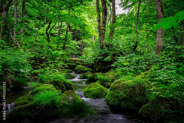 Obraz Serene Flowing Waters of Oirase River in Aomori's Lush Green Forest, Japan