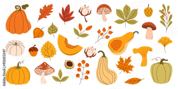 Fototapeta Simple Botanical Autumn vector doodle set of leaves, mushrooms, pumpkins, oak, acorn, tree leaves isolated on white background. Autumn themes, Halloween, Thanksgiving design elements, flat