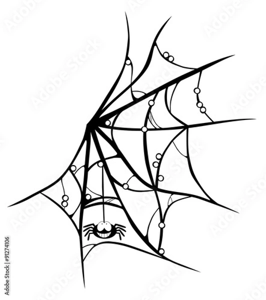 Fototapeta Cartoon cobweb with smiling spider isolated on white