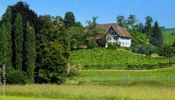 Obraz vignoble et chateau
