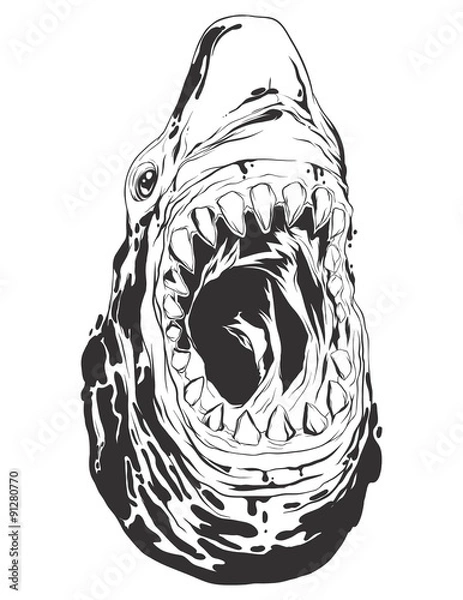 Fototapeta Vector illustration with shark head