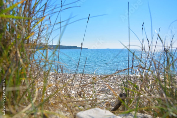 Fototapeta An expansive view of the ocean can be seen through tall grass