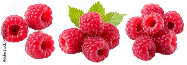 Fototapeta Three clusters of ripe raspberries with leaves. Perfect for food blogs, health articles, or product packaging. (Transparent PNG background)
