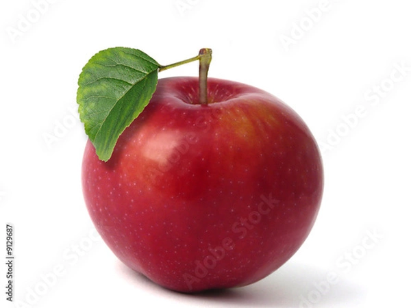 Obraz red apple, green leaf