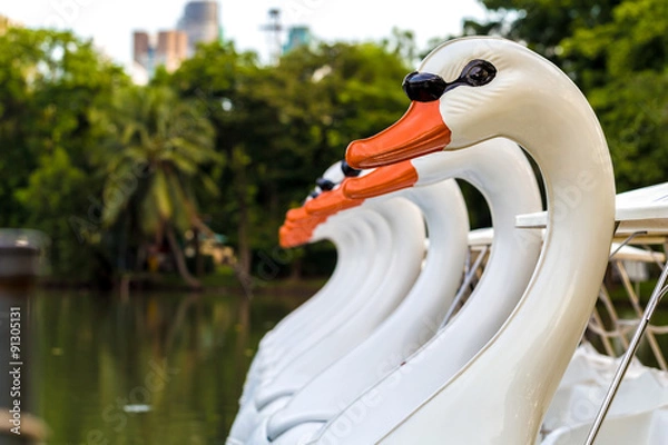 Obraz Swan Paddle Boat / Paddle Boat / Swan Paddle Boat Floating in Lake