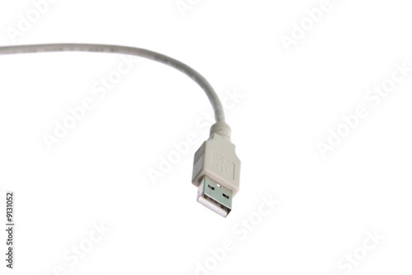 Obraz Cable usb