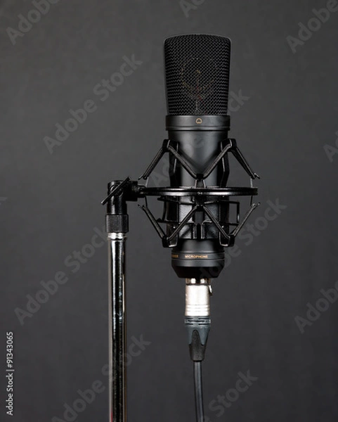 Obraz Condenser microphone