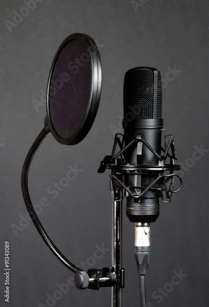 Obraz Condenser microphone