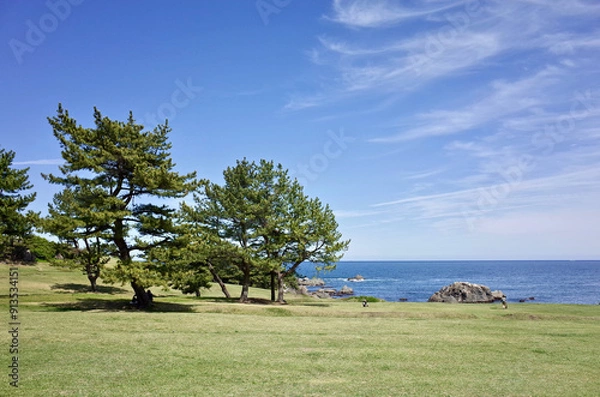 Fototapeta 種差海岸