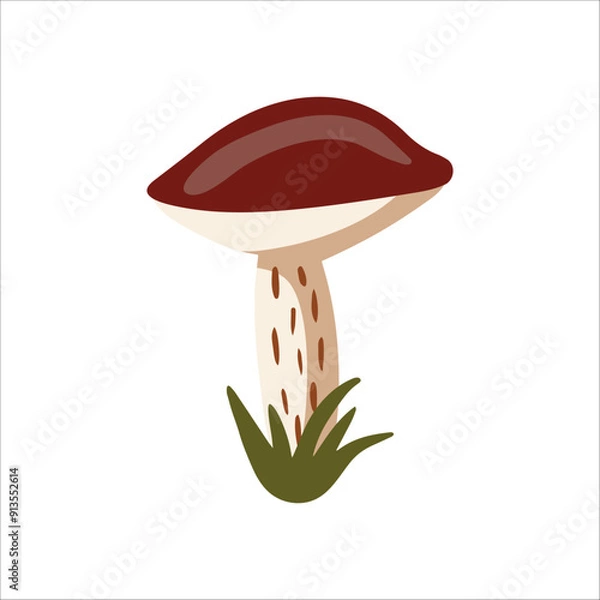 Fototapeta Vector isolated element. An edible mushroom. Birch mushroom. Autumn time. Color image on a white background. The print is used for packaging design.