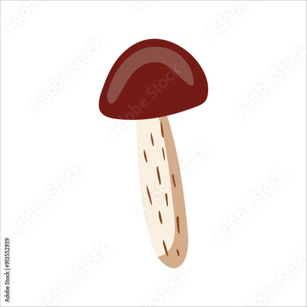 Fototapeta Vector isolated element. An edible mushroom. Birch mushroom. Autumn time. Color image on a white background. The print is used for packaging design.