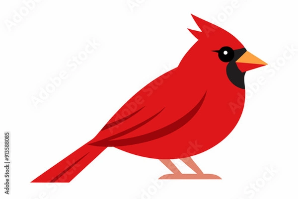 Obraz Cardinal bird  art vector