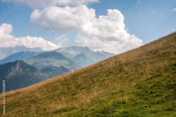 Fototapeta Tatra mountains.