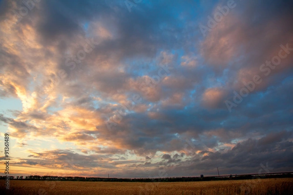 Obraz wheat field sunset