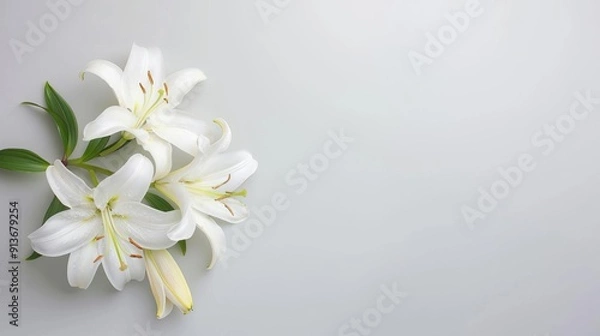 Fototapeta Empty frame of lilies, simple modern clean background