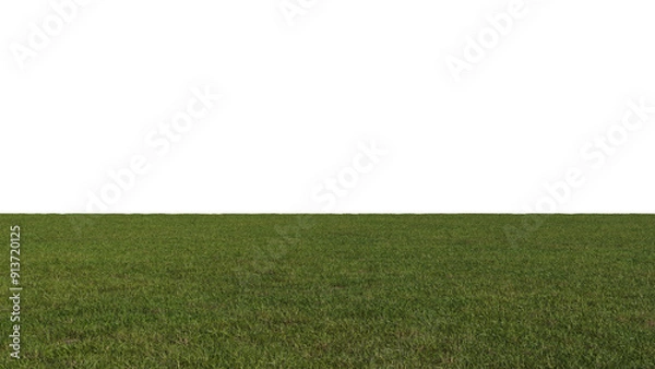 Obraz Grass Lawn on a Transparent Background