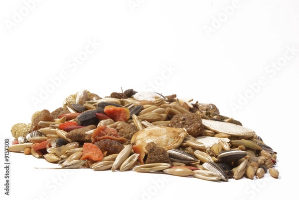 Obraz Different seeds on white background