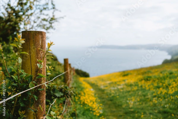 Obraz spring on the coast