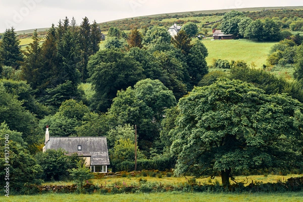 Obraz old farm house