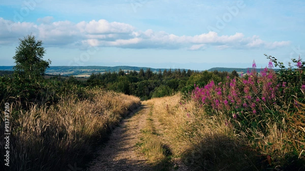Obraz lavender field in region
