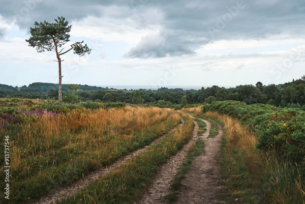 Obraz pathway through the countryside