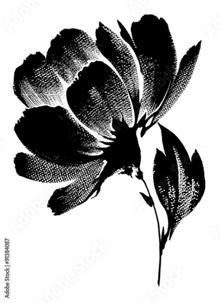 Obraz 흑백 붓터치의 모란 꽃