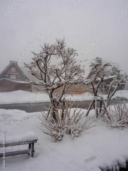 Obraz Snow clings to trees in Shirakawa-go Village (Japan)
