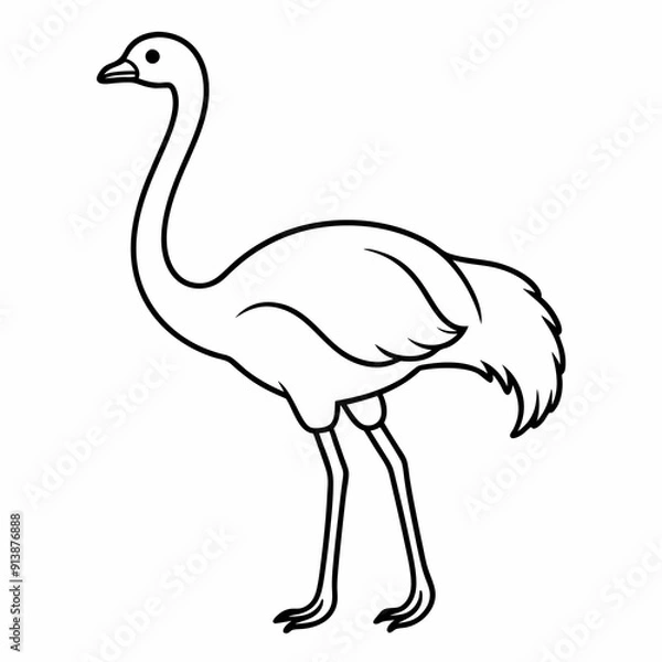 Obraz Ostrich Bird Icon Vector Illustration - Cartoon, Clipart, and Line Art Design