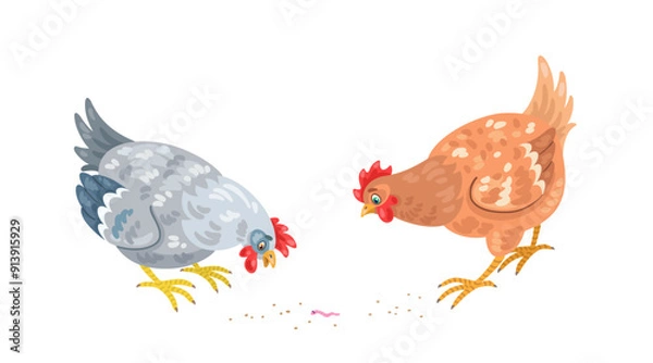 Fototapeta Two cute hens found a worm. Isolated on white background. Vector flat illustration