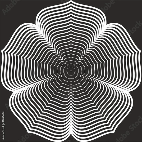 Obraz Genuine spinning monochrome rosette 4