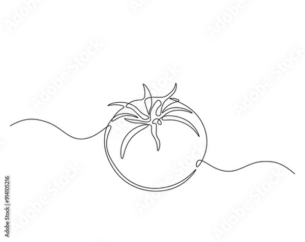 Obraz One continuous line drawing Tomato vegetable. Tomato single line illustration.