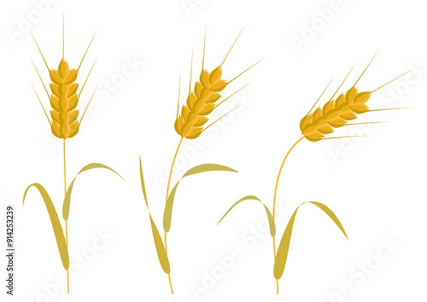 Obraz Clip art of three golden wheat swaying in the wind