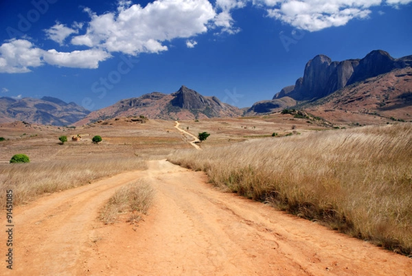 Obraz Path leading into the mountains of Andringitra