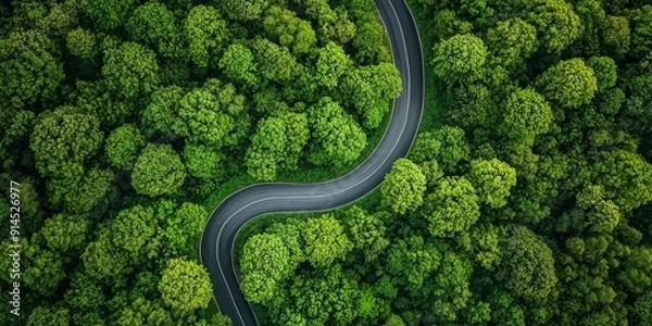 Obraz Scenic Aerial View of Winding Asphalt Road Through Lush Green Forest in Spring Generative AI