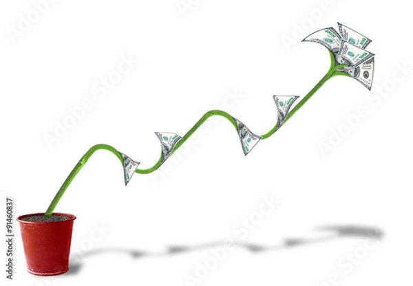 Obraz Money Plant
