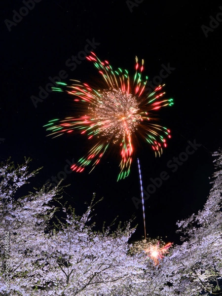 Fototapeta 桜と花火