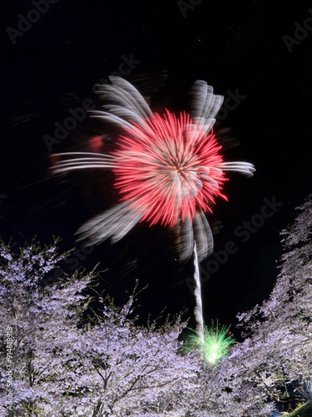 Fototapeta 桜と花火
