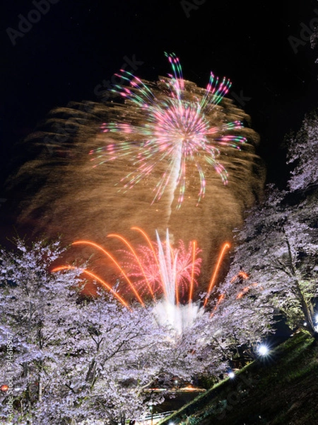 Fototapeta 桜と花火