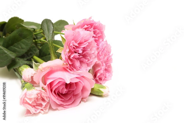 Fototapeta 白背景の薔薇の花束