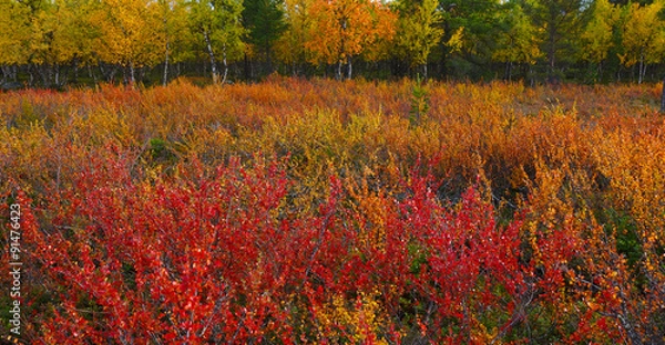 Obraz inari lake, lapland