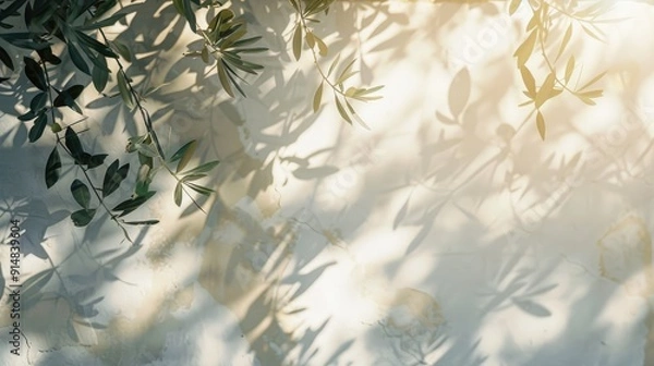 Fototapeta Olive tree shadows on white wall, summer lens flare. Soft, blurred sunlight, empty space. Mediterranean vibe.